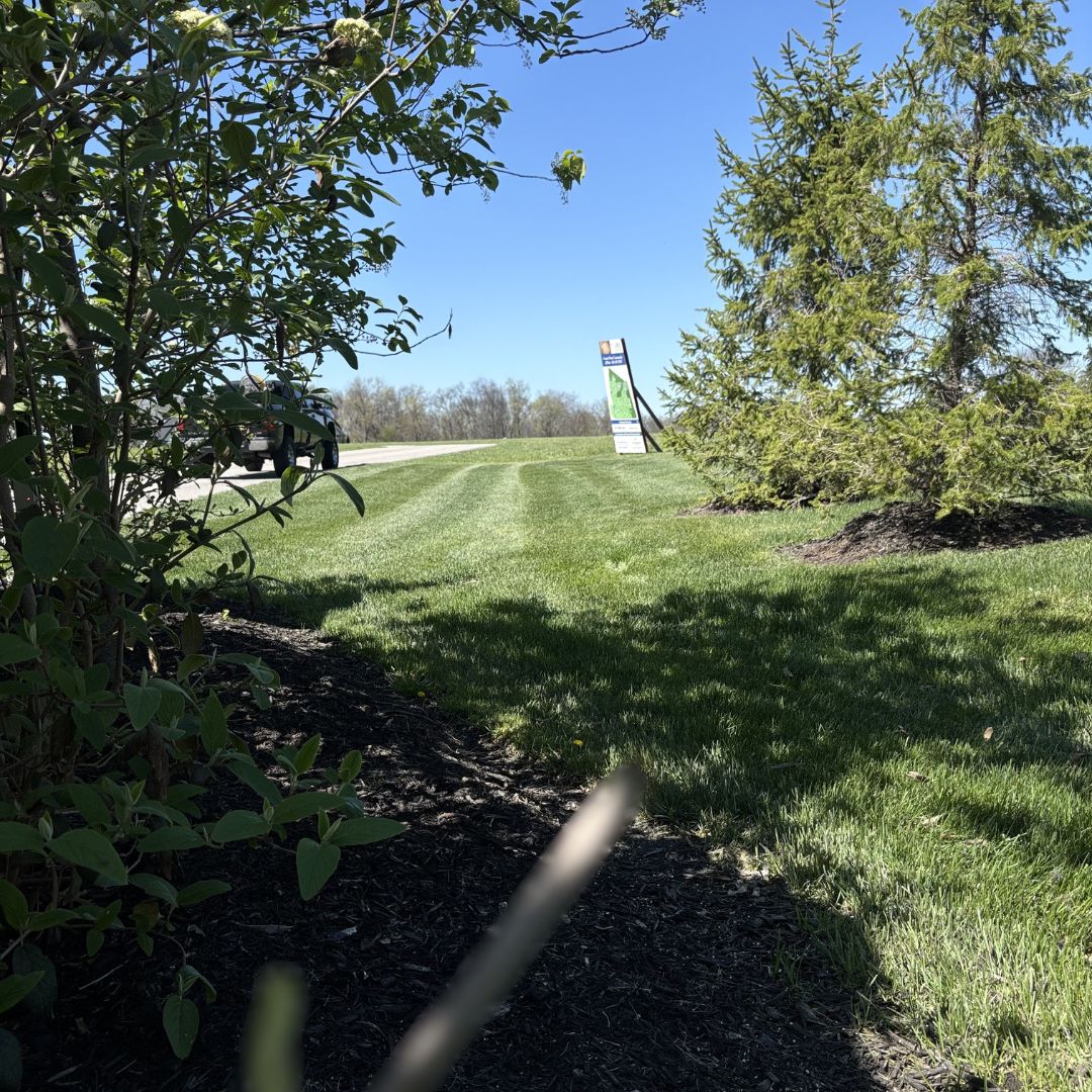 Gators Creek lawn work