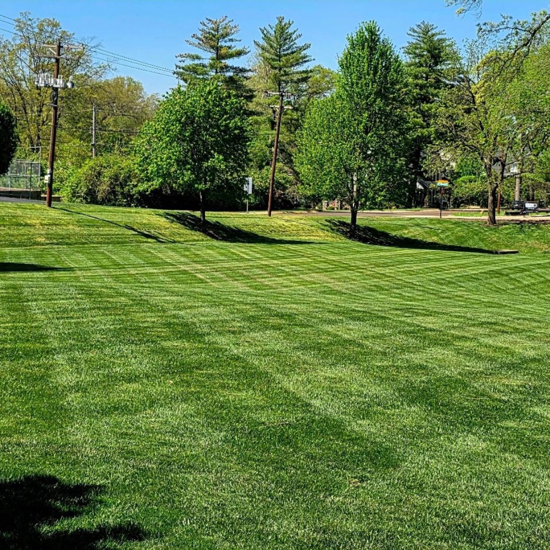 Gators Creek lawn work
