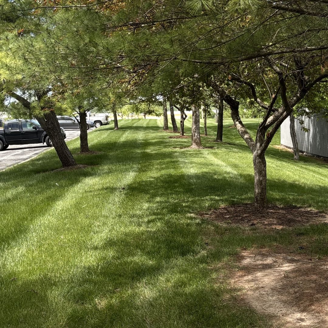 Gators Creek lawn work