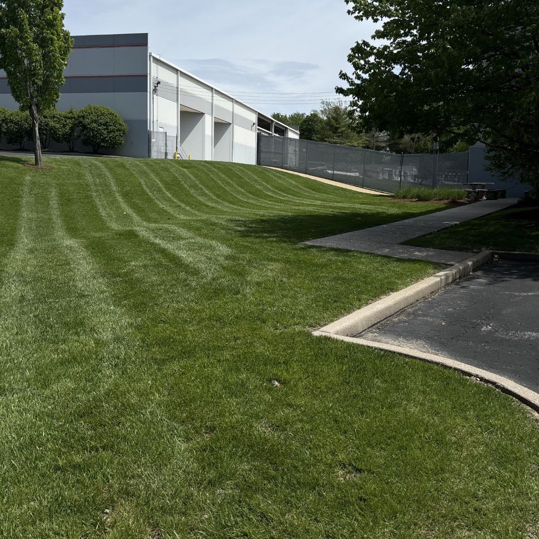 Gators Creek lawn work