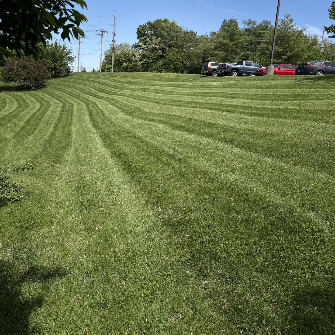 Gators Creek lawn work