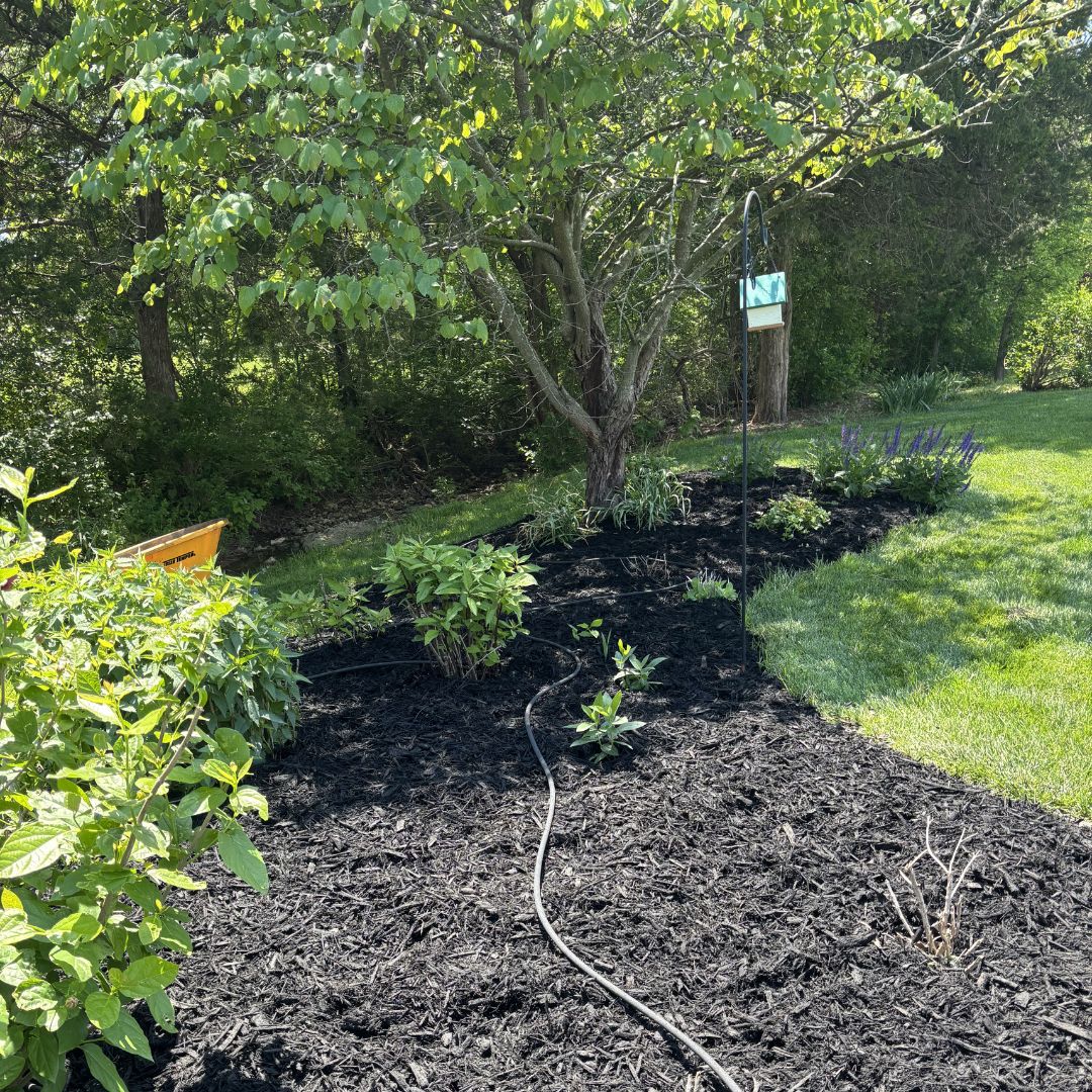 Gators Creek lawn work