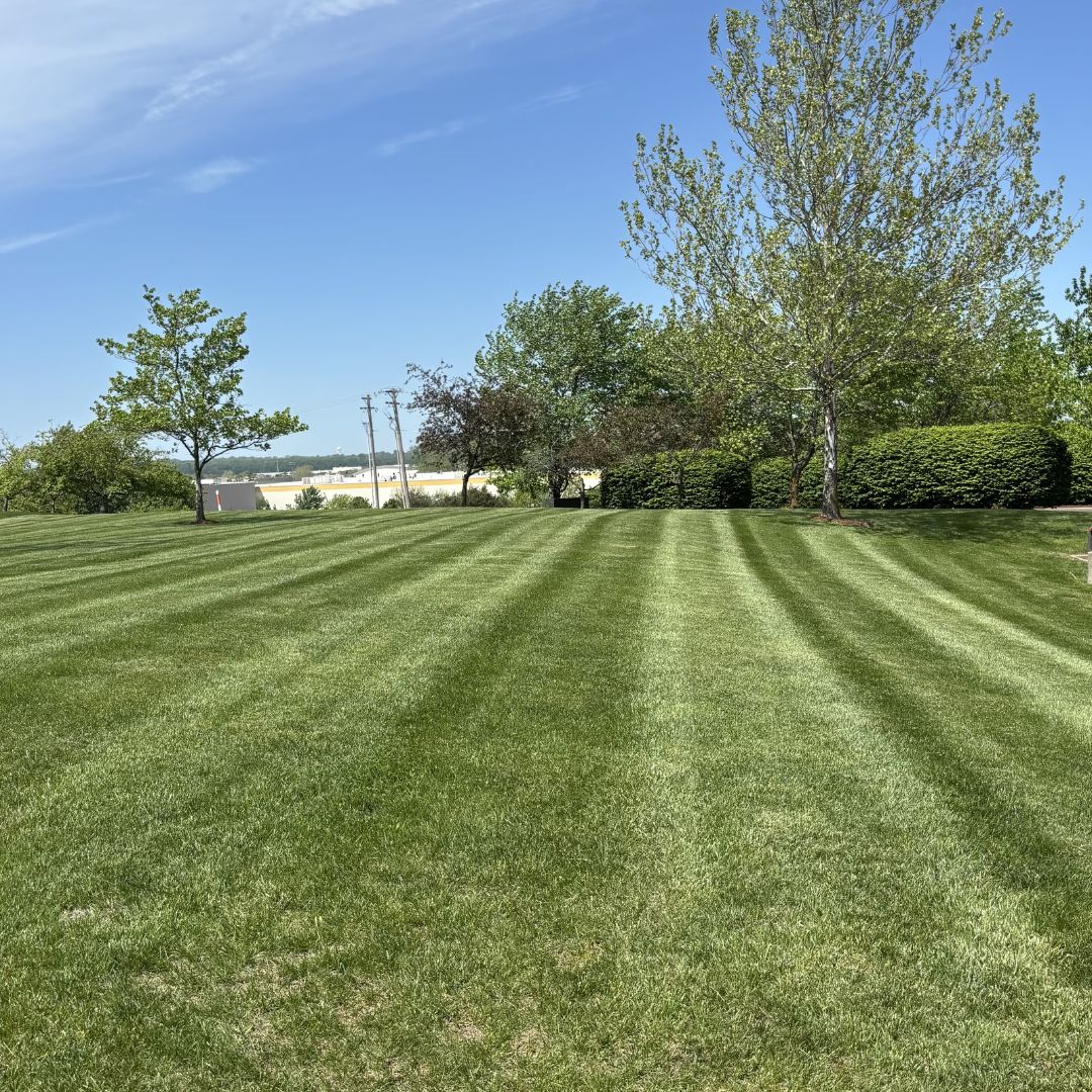 Gators Creek lawn work