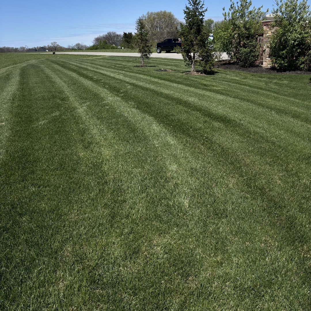 Gators Creek lawn work