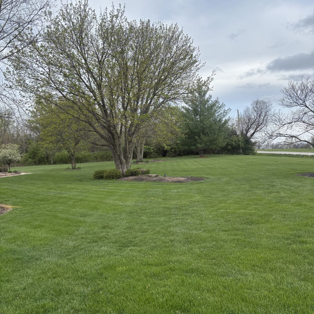 Gators Creek lawn work