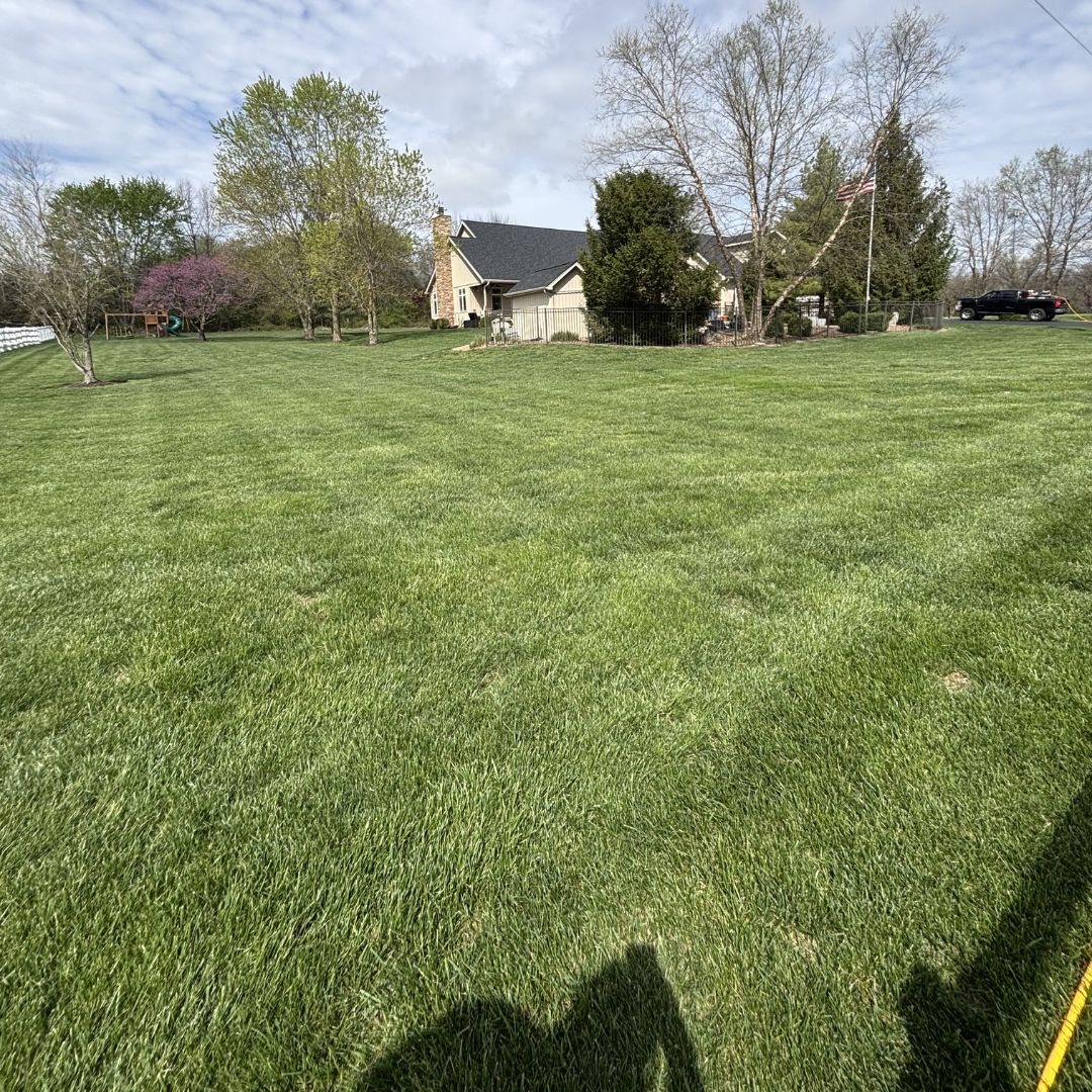 Gators Creek lawn work