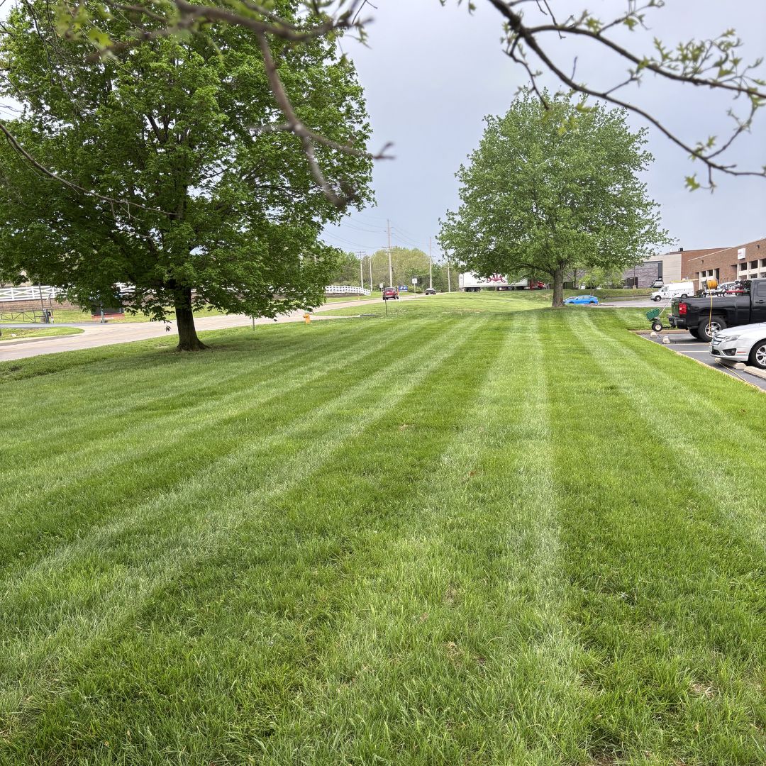 Gators Creek lawn work