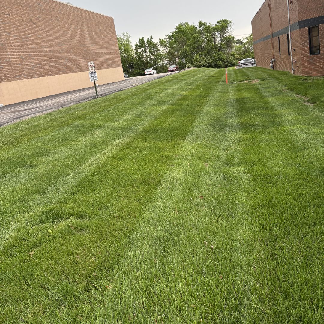 Gators Creek lawn work