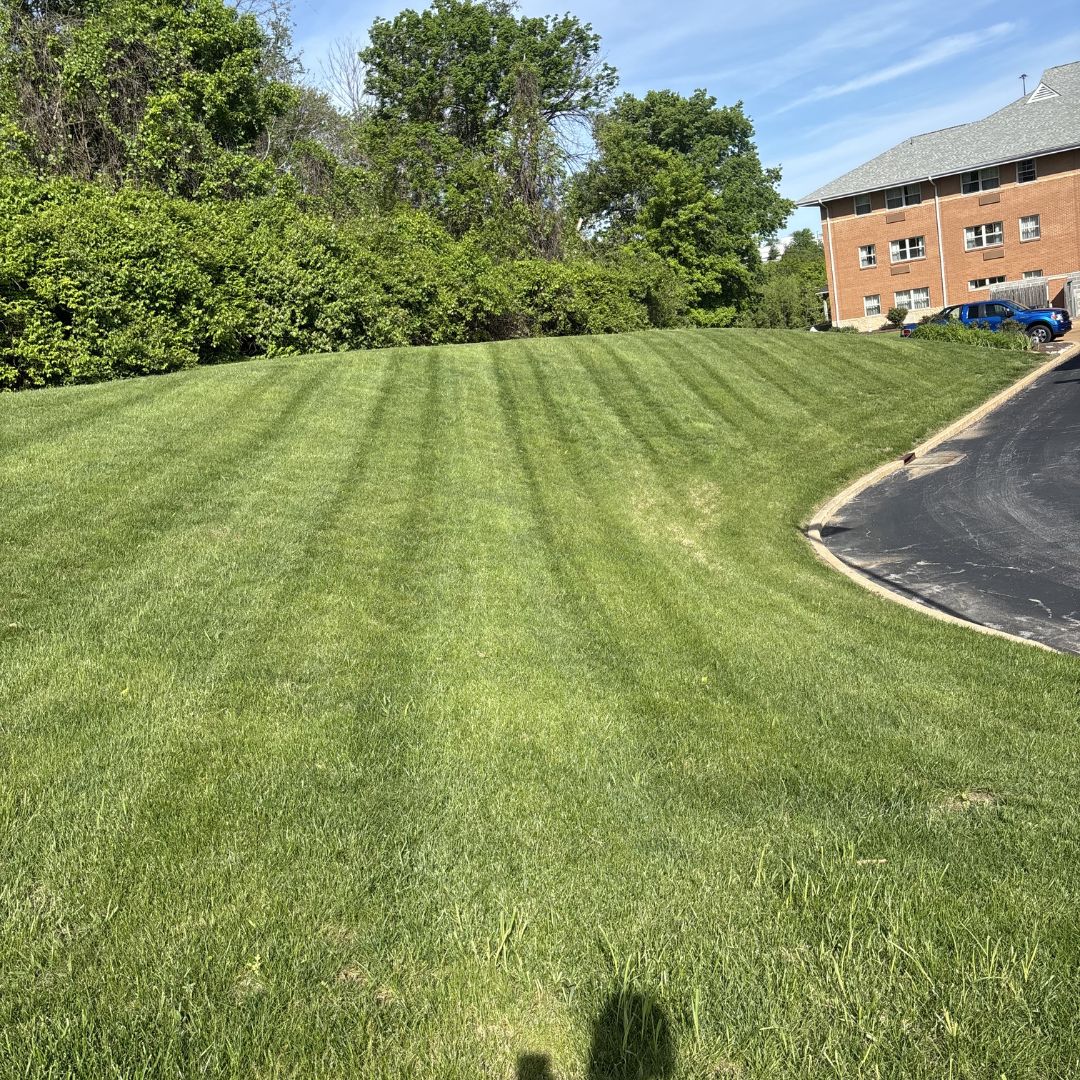 Gators Creek lawn work