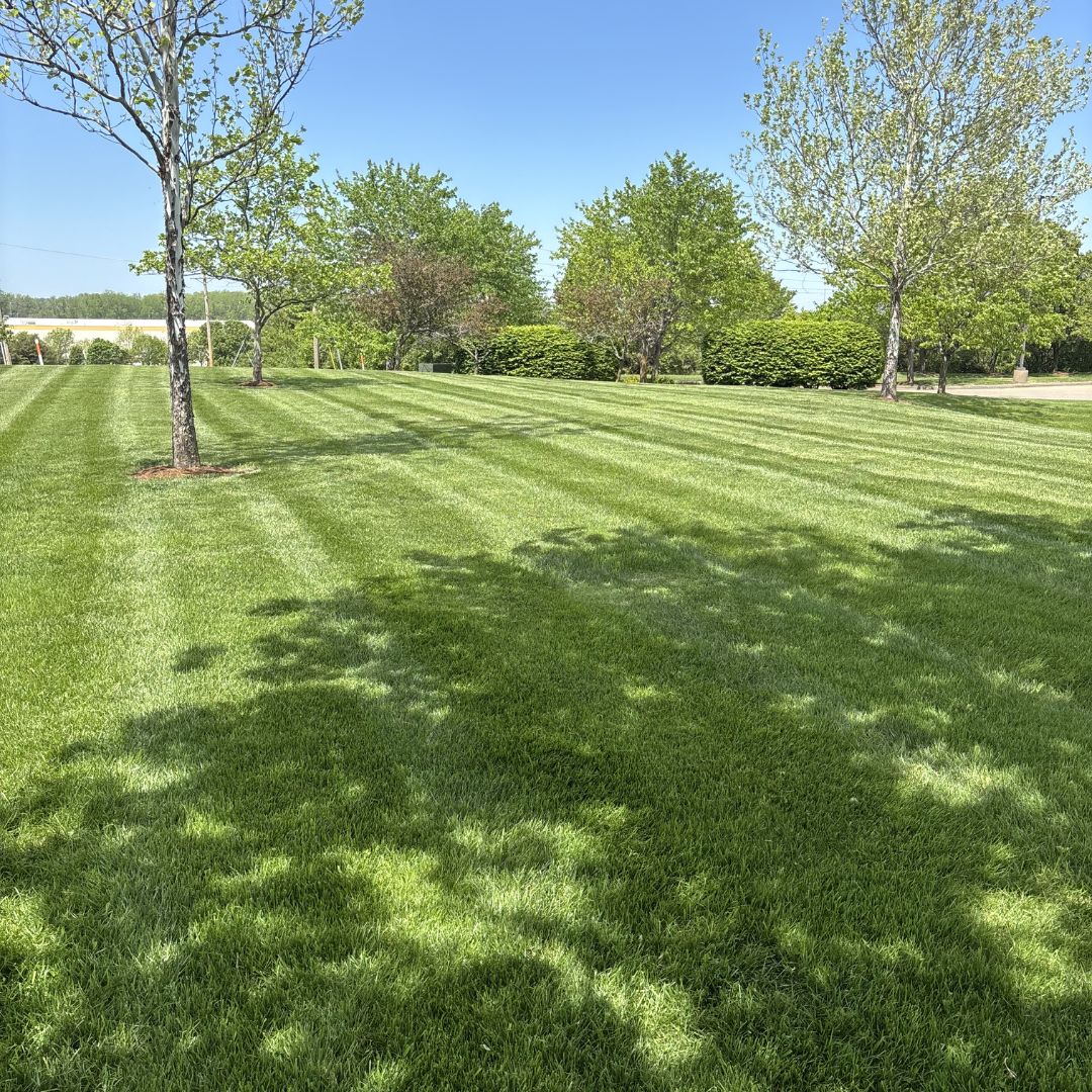 Gators Creek lawn work