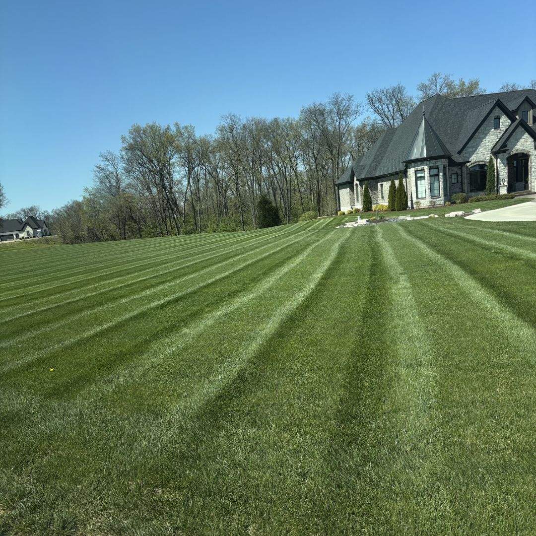 Gators Creek lawn work